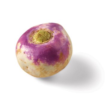 Fresh Turnips, each