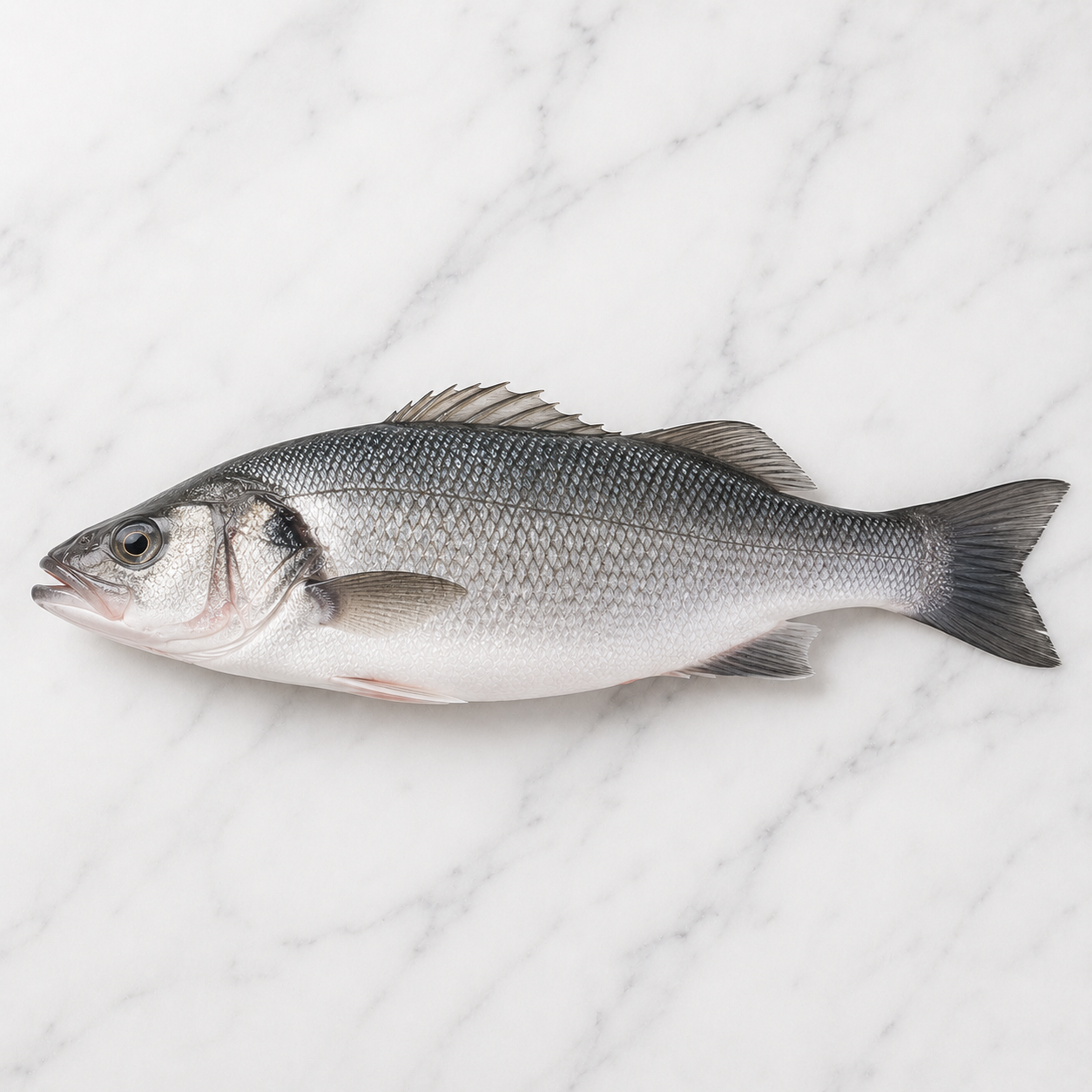 Branzino-Whole (400-600)