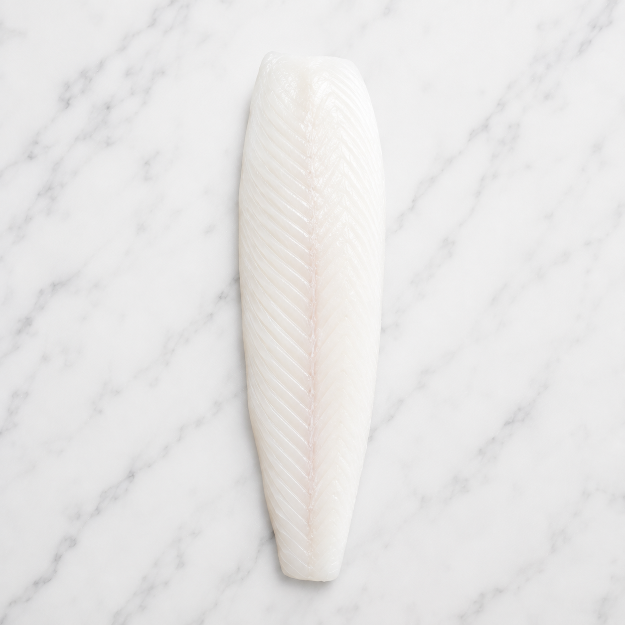 Chillean Seabass-Fillet