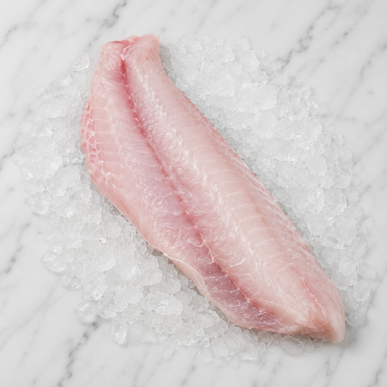 Golden Tile-Fillet