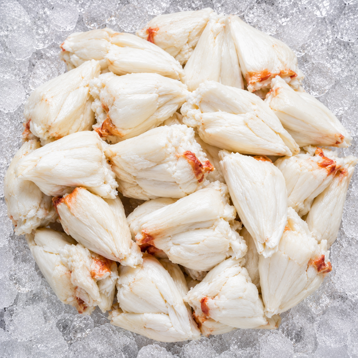 Jumbo Lump Crab Meat- Gulf