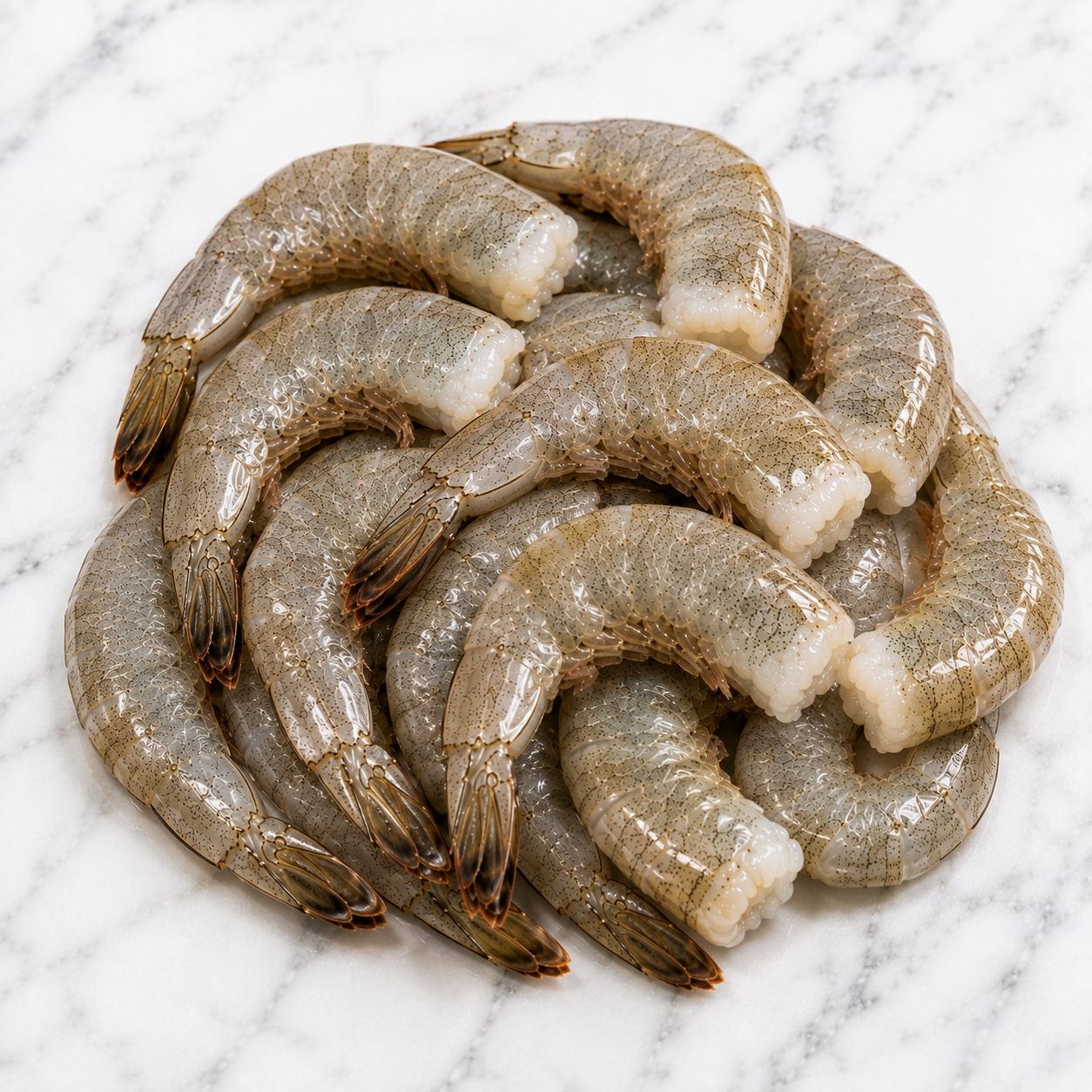 Shrimp 16/20