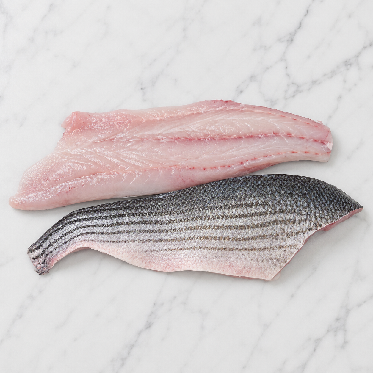 Stripped Bass-Skin On