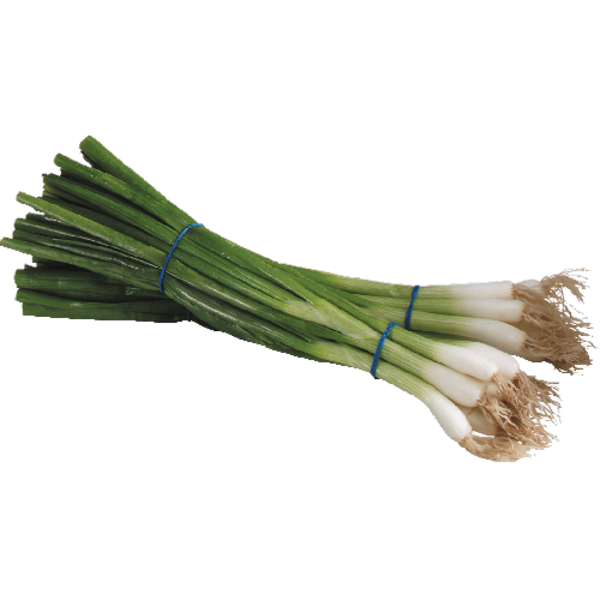Cebollas Verdes, c/u