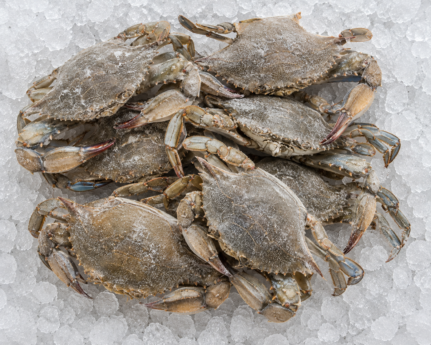 Gumbo Crabs Frozen