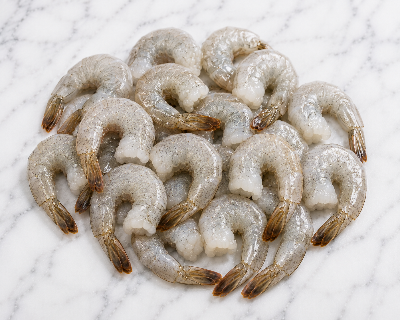 Shrimp P&D
