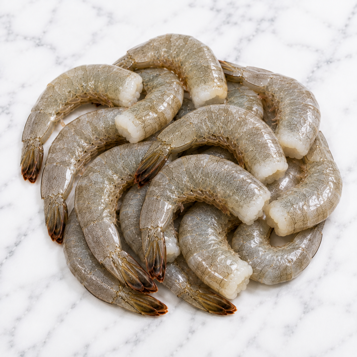 Shrimp 21/25