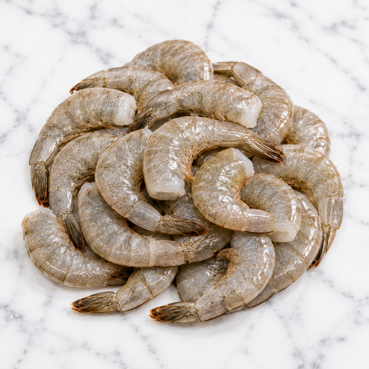 Shrimp 31/35