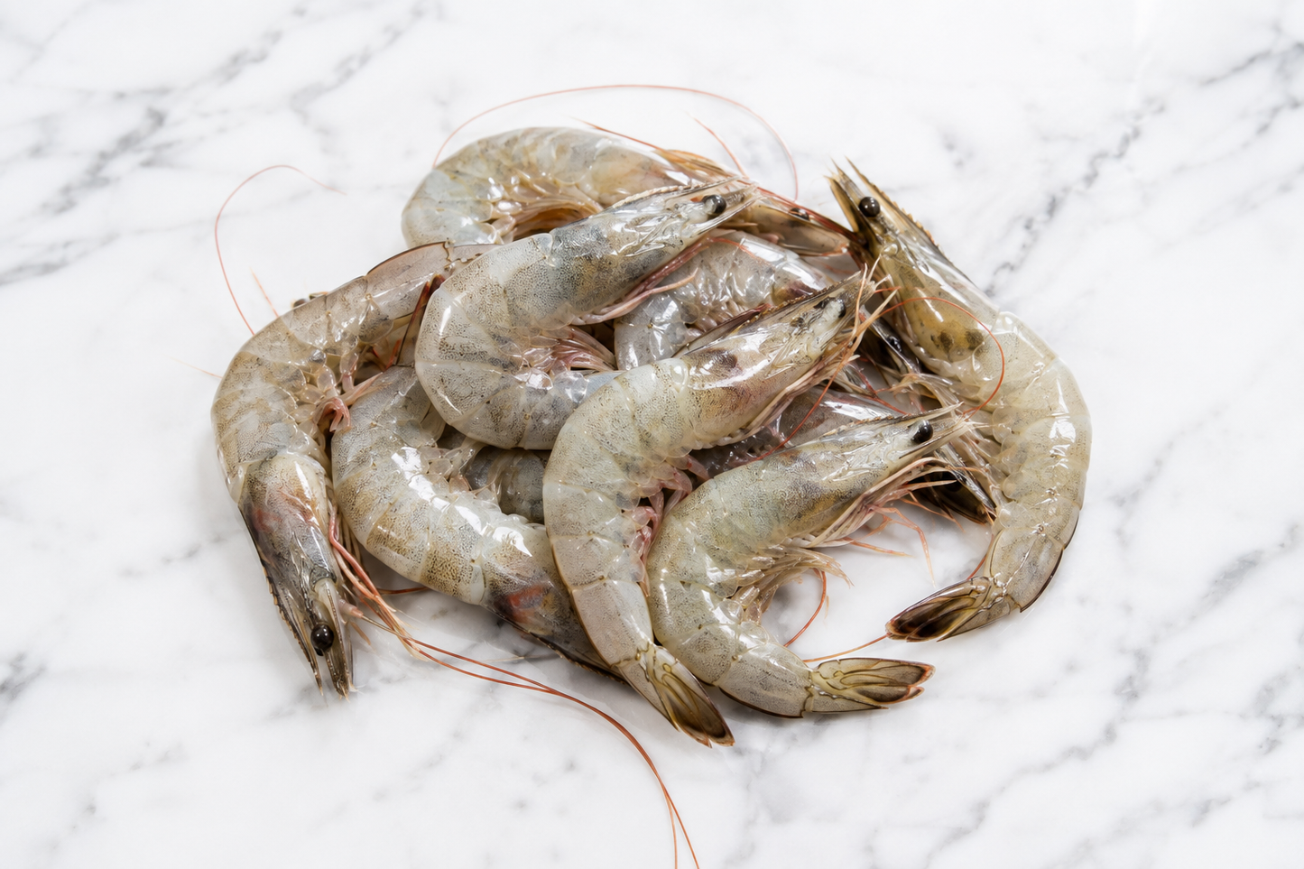 Shrimp U/10 Head On